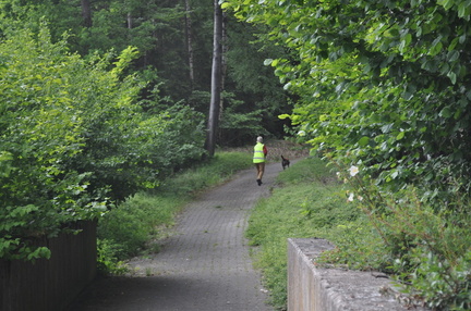 DSC 0116