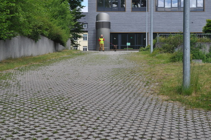 DSC 0117