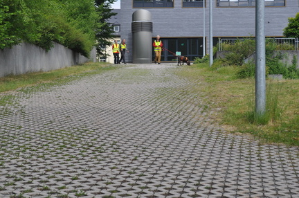 DSC 0118
