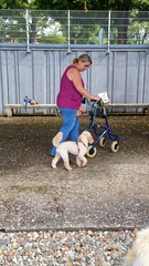 1b4e3324-0fed-4121-86ae-28b3e3be1bb7