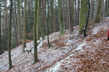DSC03662